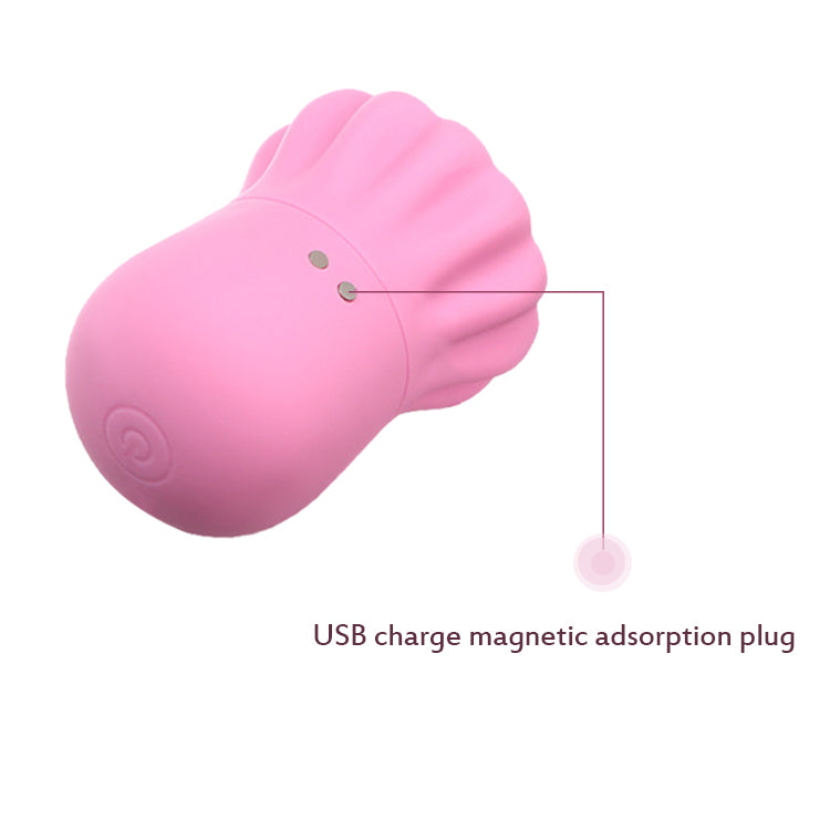 CHARGERS