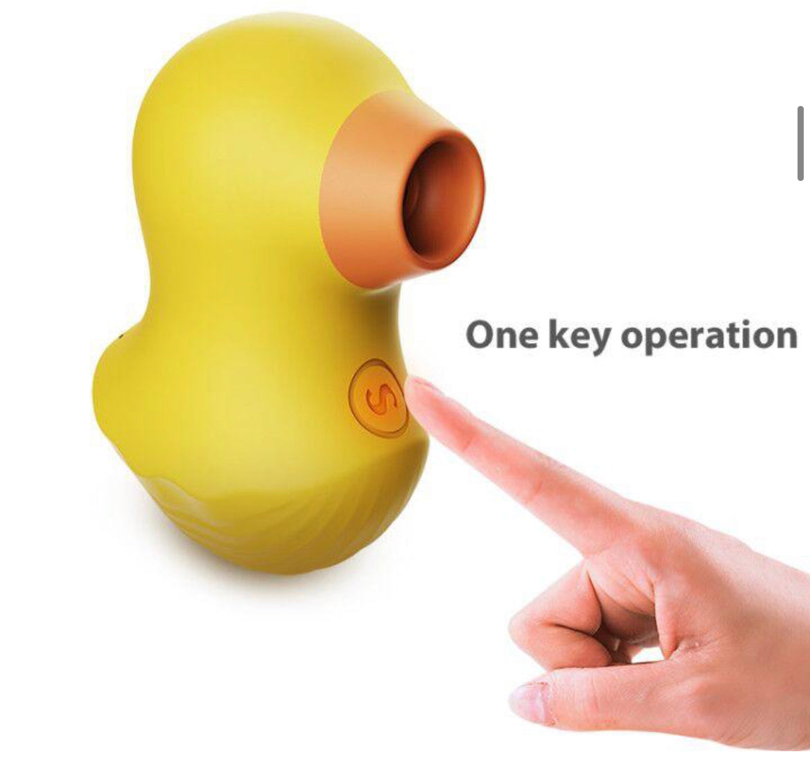 SUCKING DUCK