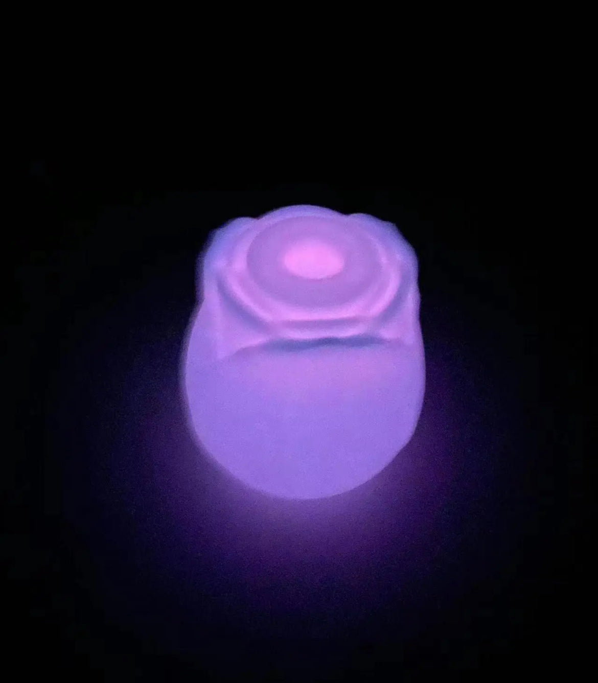 GLOW ROSE